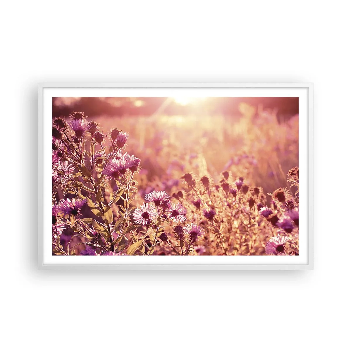 Poster în ramă albă - Înainte ca vara să plece - 91x61 cm