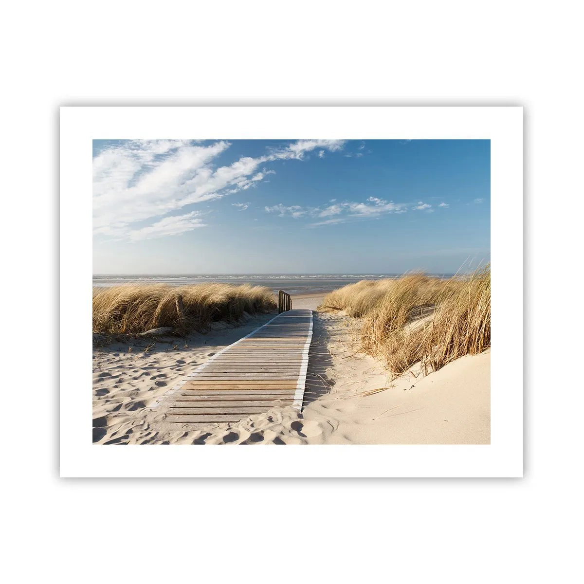 Poster - În spatele dunei, în zumzetul ierbii - 50x40 cm