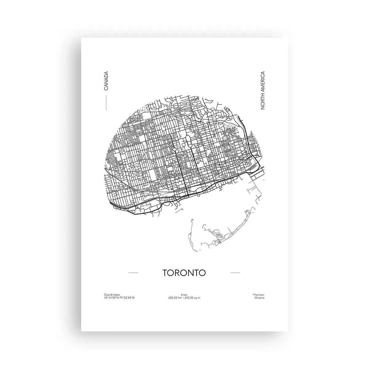Poster - Anatomia Toronto - 70x100 cm