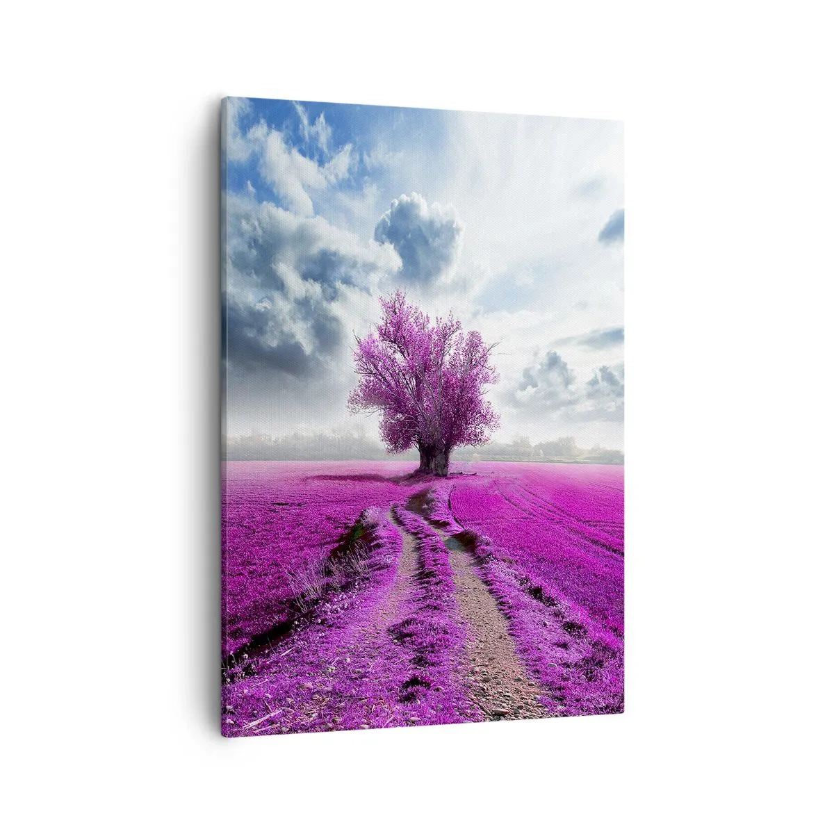 Tablou pe pânză - Câmpul cu iarbă neagră - 50x70 cm