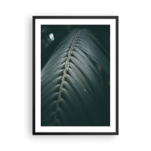 Poster în ramă neagră - O frunză de palmier într-un ton întunecat cu iluminare blândă - 50x70cm - Precizia naturii - Decorațiune modernă pentru perete pentru living și dormitor ARTTOR