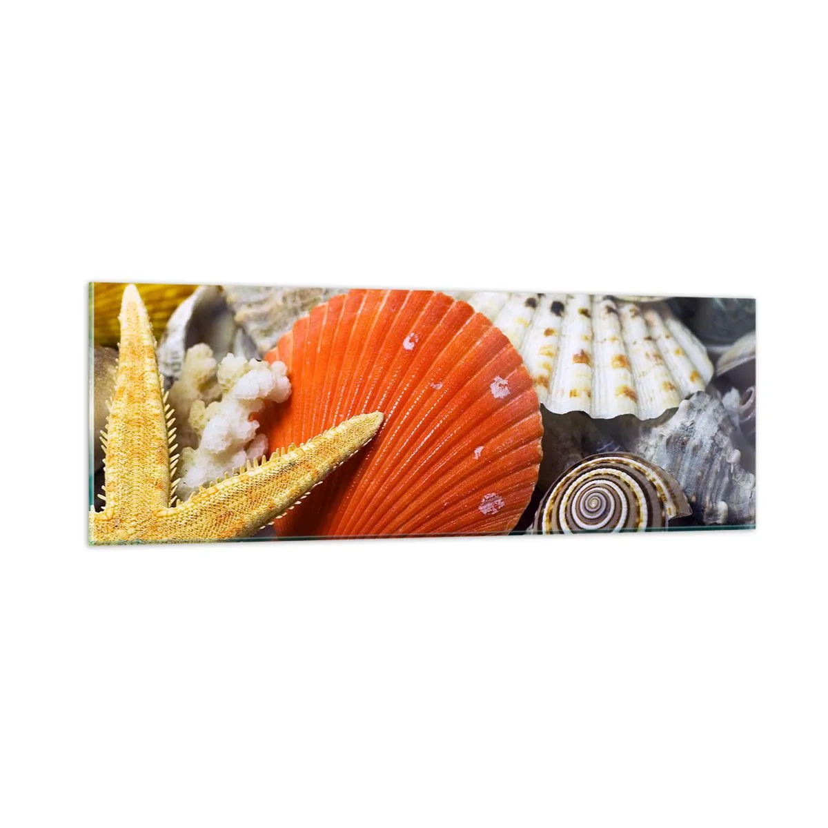 Tablou pe sticlă - Comorile oceanului - 90x30 cm