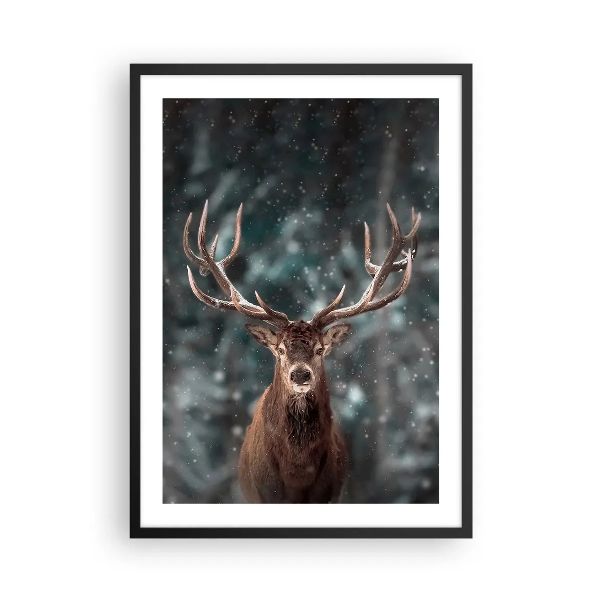 Poster în ramă neagră - Portretul unui cerb cu coarne impresionante pe fundalul unei păduri de iarnă - 50x70cm - Regele pădurii a fost încoronat - Decorațiune modernă pentru perete pentru living și dormitor ARTTOR
