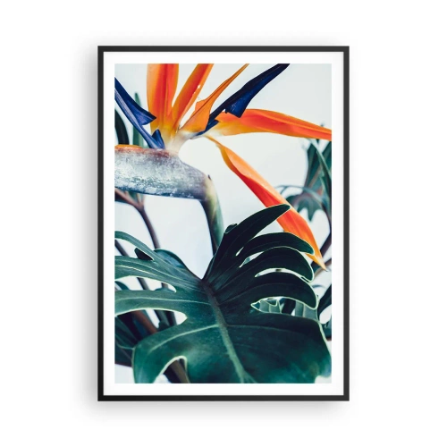 Poster în ramă neagră - Tufiș sau pasăre? - 70x100 cm