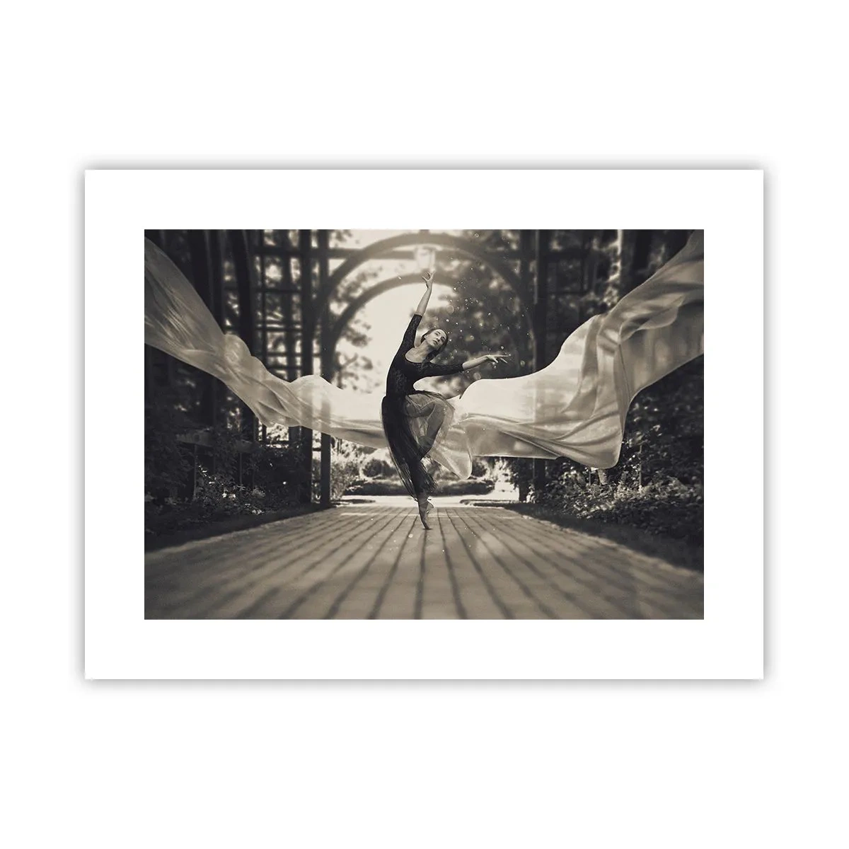 Poster - Dansul spiritului de grădină - 40x30 cm