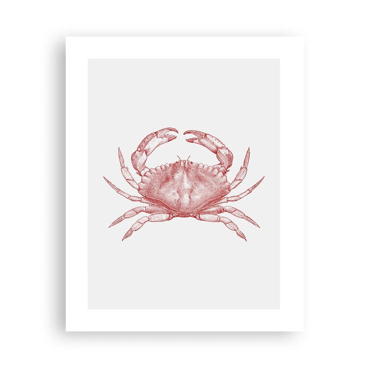 Poster - Crab peste crabi - 40x50 cm