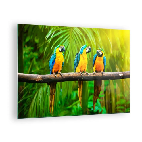 Tablou pe sticlă - Trei papagali macaw pe o ramură într-o pădure tropicală - 70x50cm - Și ai auzit că ea...? - Decorațiune modernă pentru perete pentru living și dormitor ARTTOR