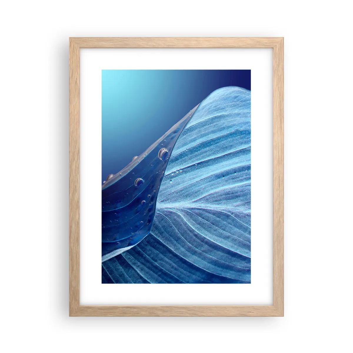 Poster în ramă de stejar deschis - Picături ascunse de albastru - 30x40 cm