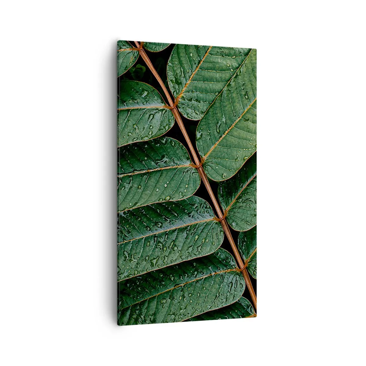 Tablou pe pânză - Într-un ritm verde - 55x100 cm