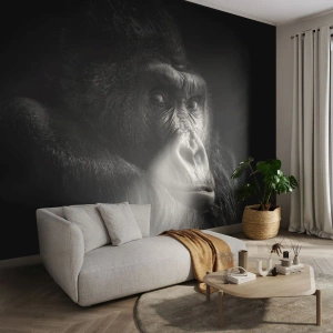 Tapet Premium Sand - Și la ce te uiți? - Maimuţă, Gorilă, Animale - 100x70 cm