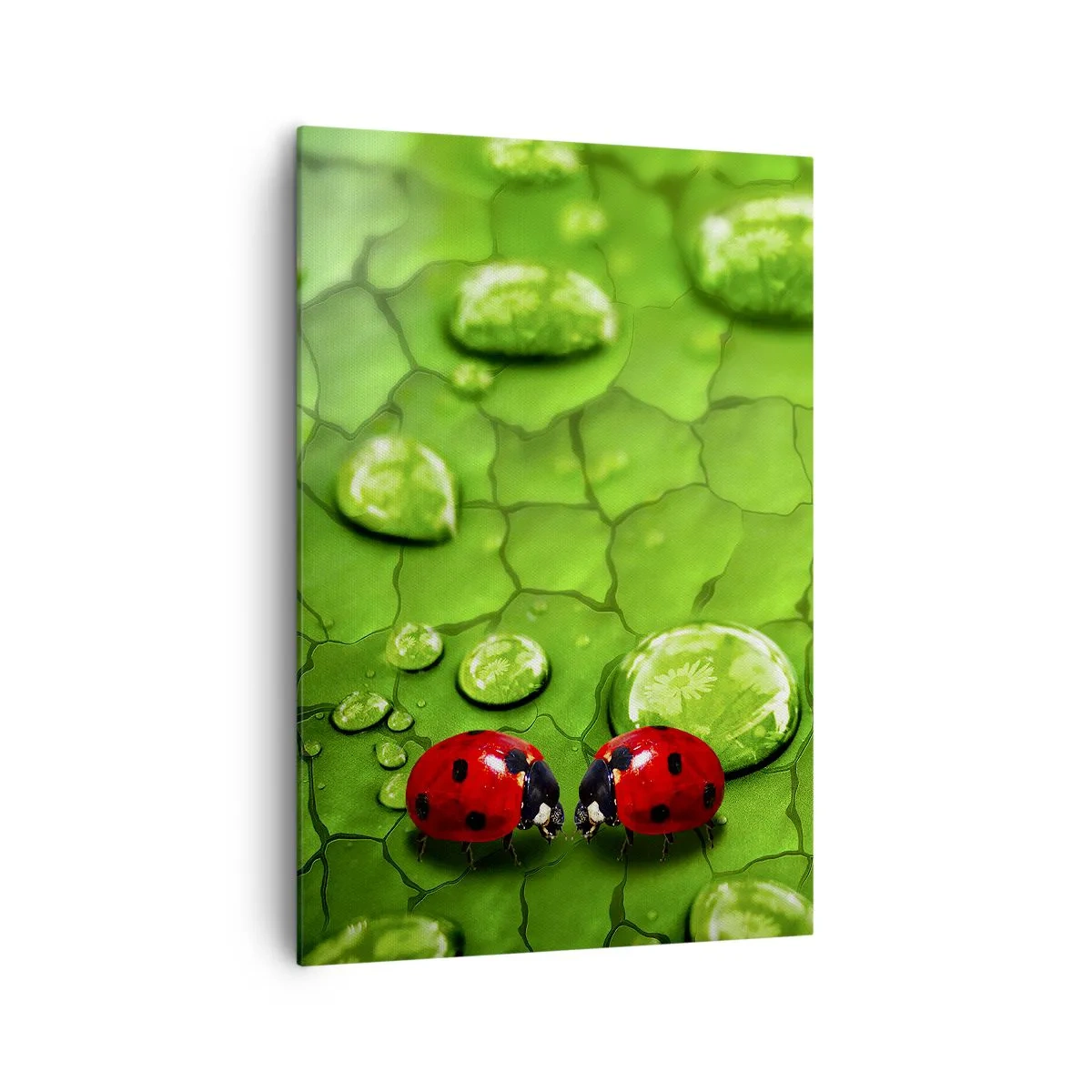 Tablou pe pânză - Întâlnire în verde - 70x100 cm