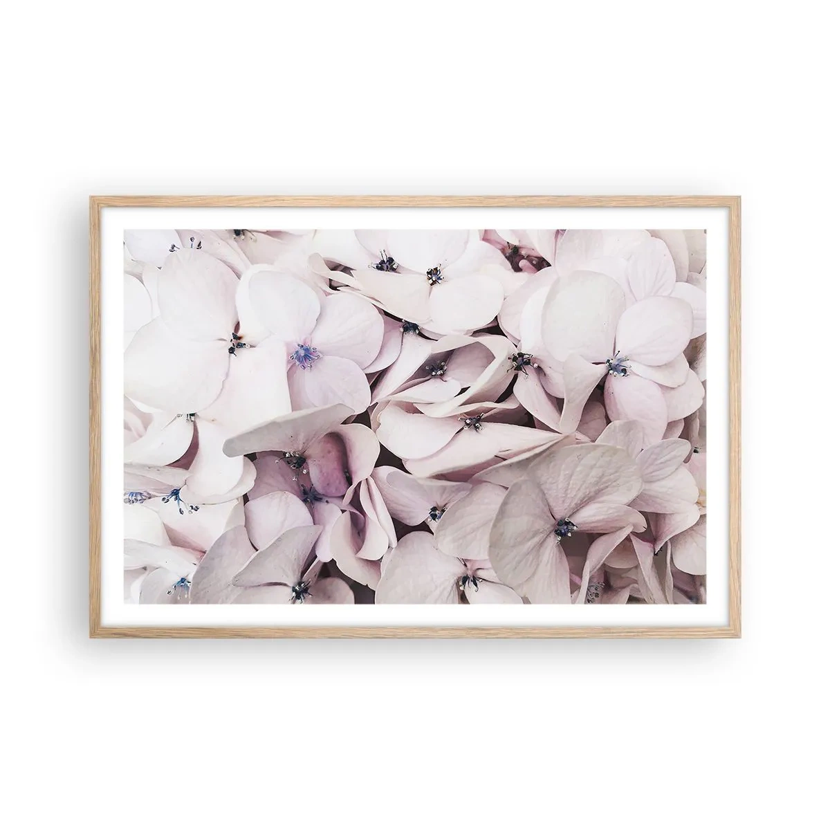 Poster în ramă de stejar deschis - Într-un potop de flori - 91x61 cm