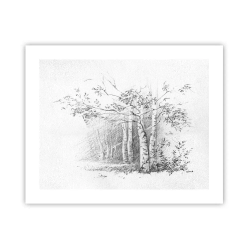 Poster - Lumina pădurii de mesteceni - 50x40 cm