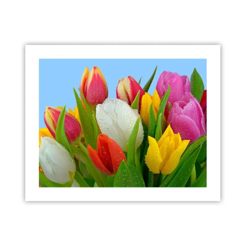 Poster - Un curcubeu floral în picături de rouă - 50x40 cm