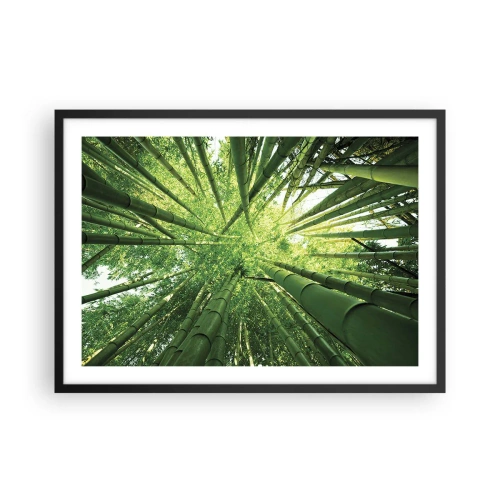 Poster în ramă neagră - Într-o pădure de bambus - 70x50 cm