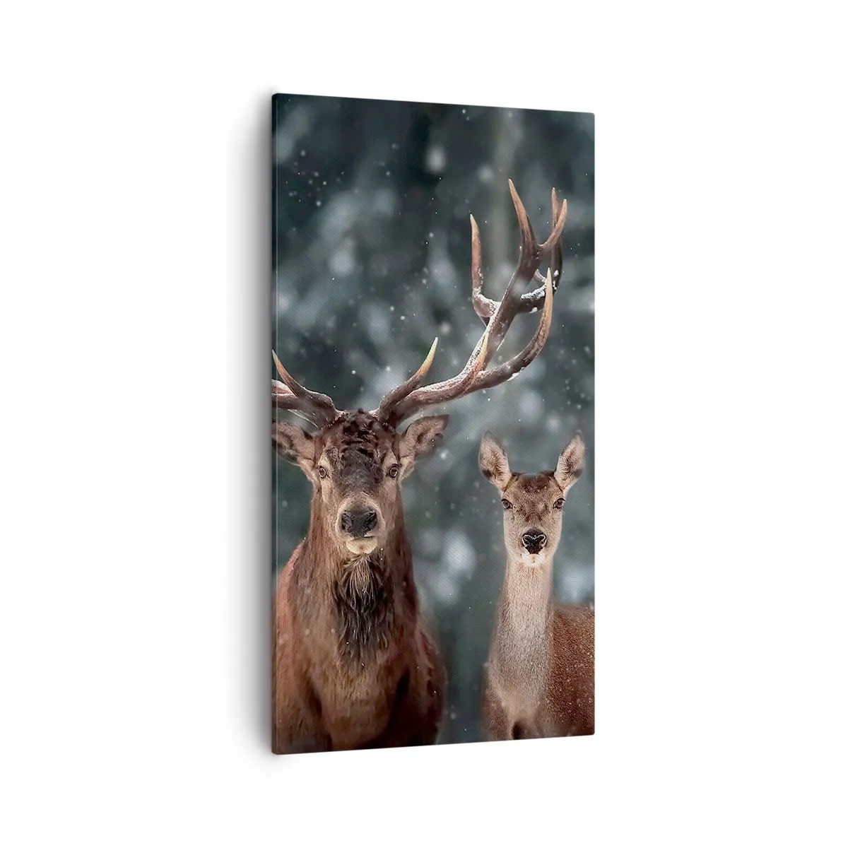 Tablou pe pânză - Stăpânul pădurii și soția sa - 55x100 cm