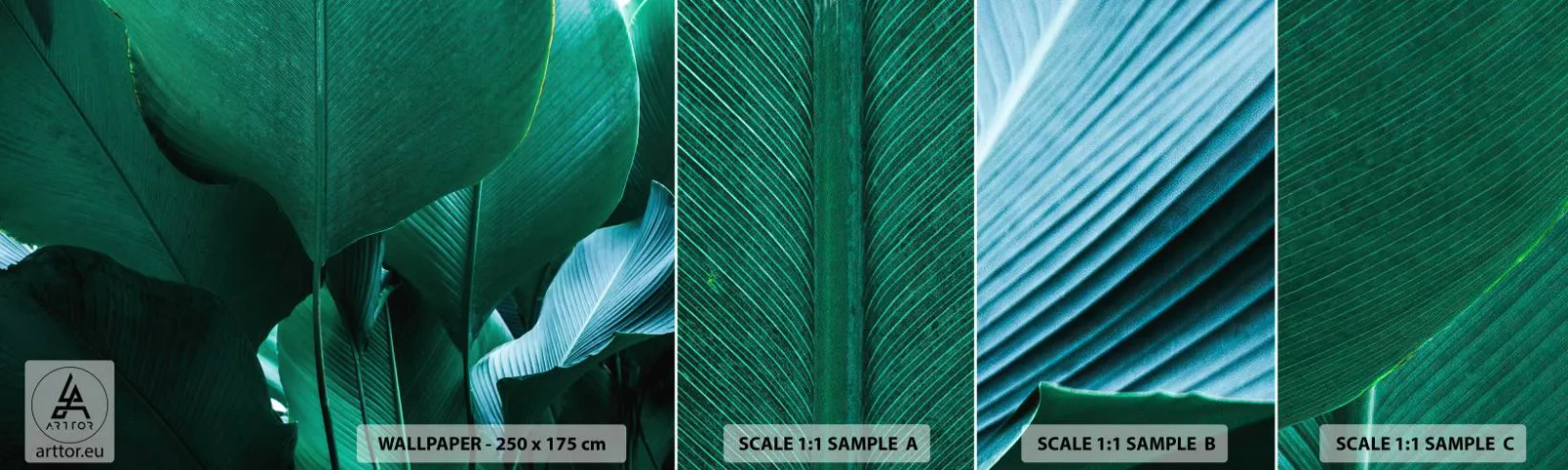 Mostră de Tapet Standard Eco - Cu frunza la lumină - Frunza de banana, Bananer, Plantă - 100x30 cm