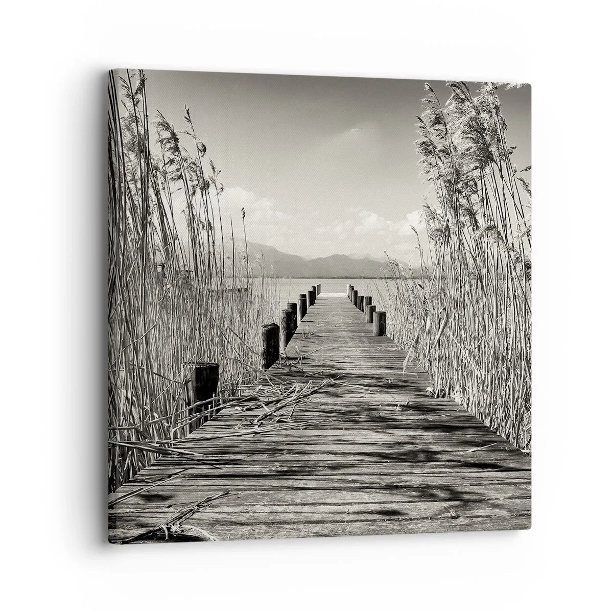 Tablou pe pânză - În intimitatea ierburilor - 30x30 cm