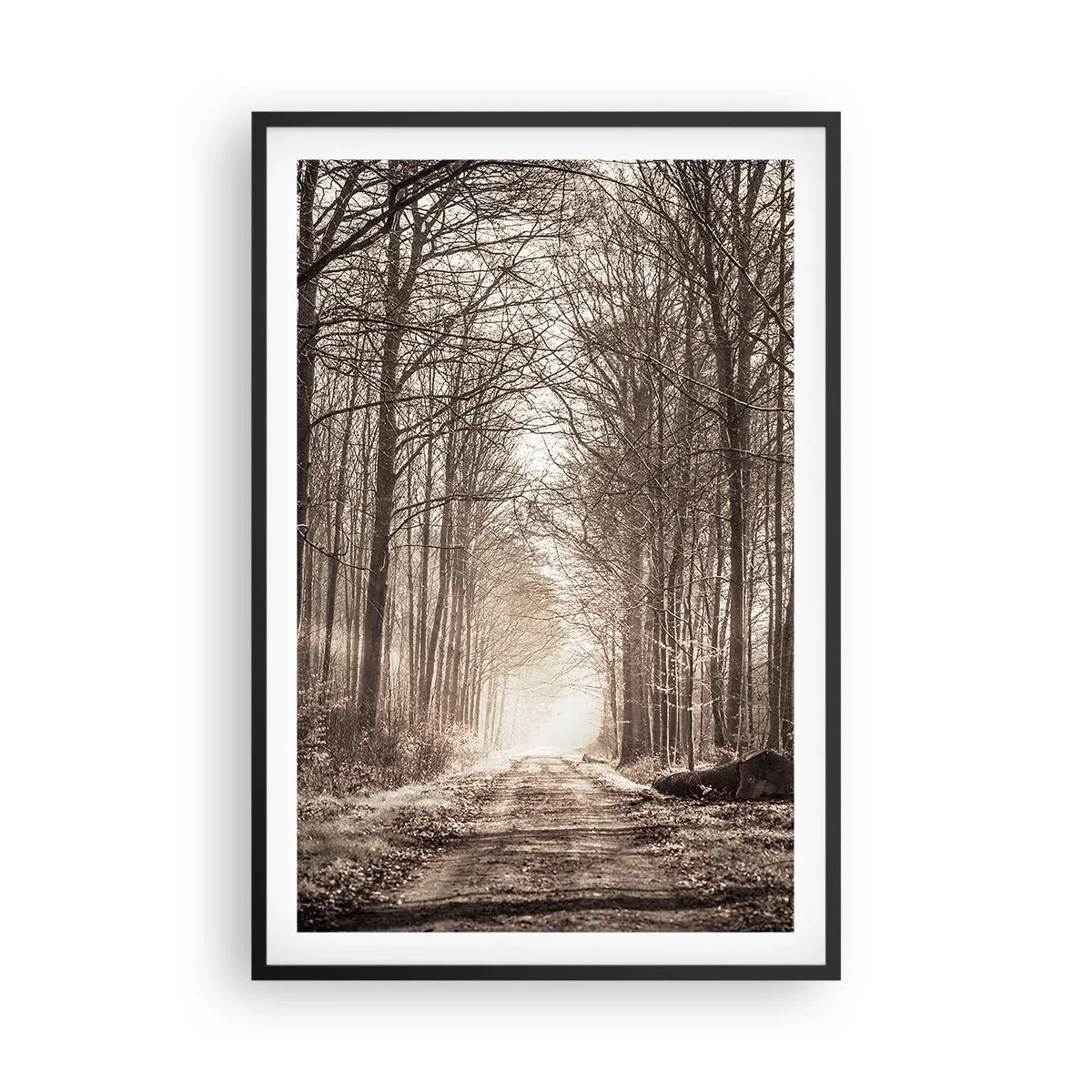 Poster în ramă neagră - Catedrala Forestieră - 61x91 cm