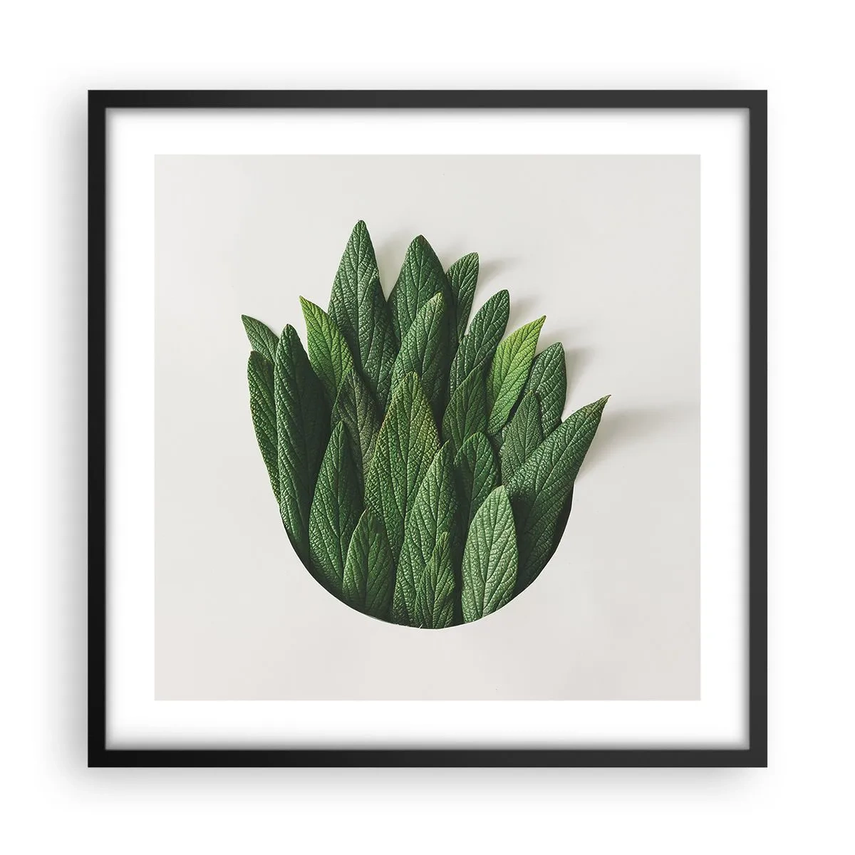 Poster în ramă neagră - Curiozitatea nestăvilită - 50x50 cm