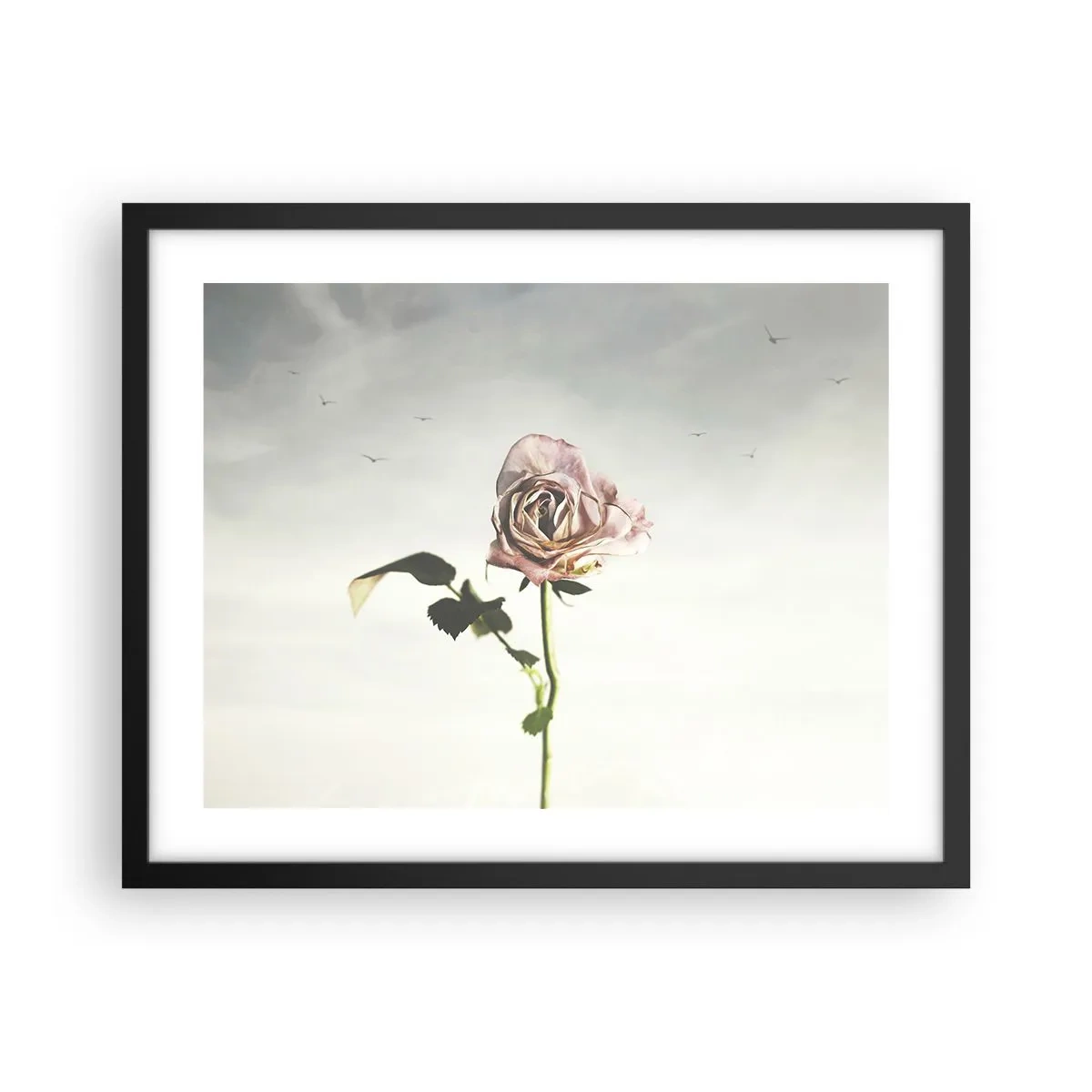 Poster în ramă neagră - Primăvara binevenită - 50x40 cm