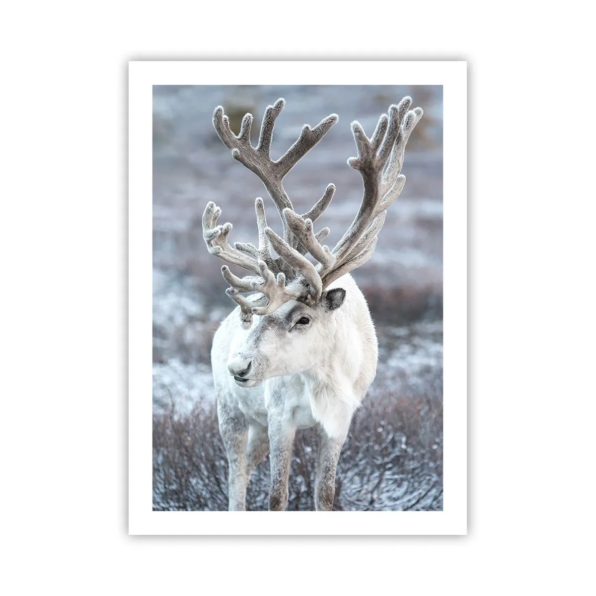 Poster - Portret la soare - 50x70 cm