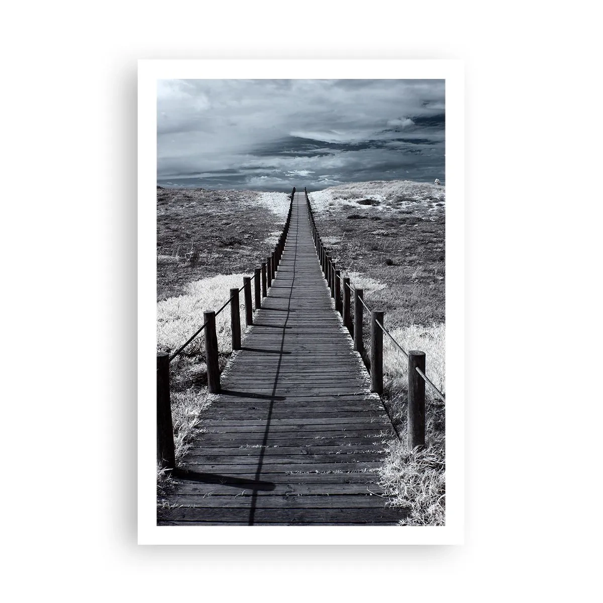 Poster - Spre țărm - 61x91 cm