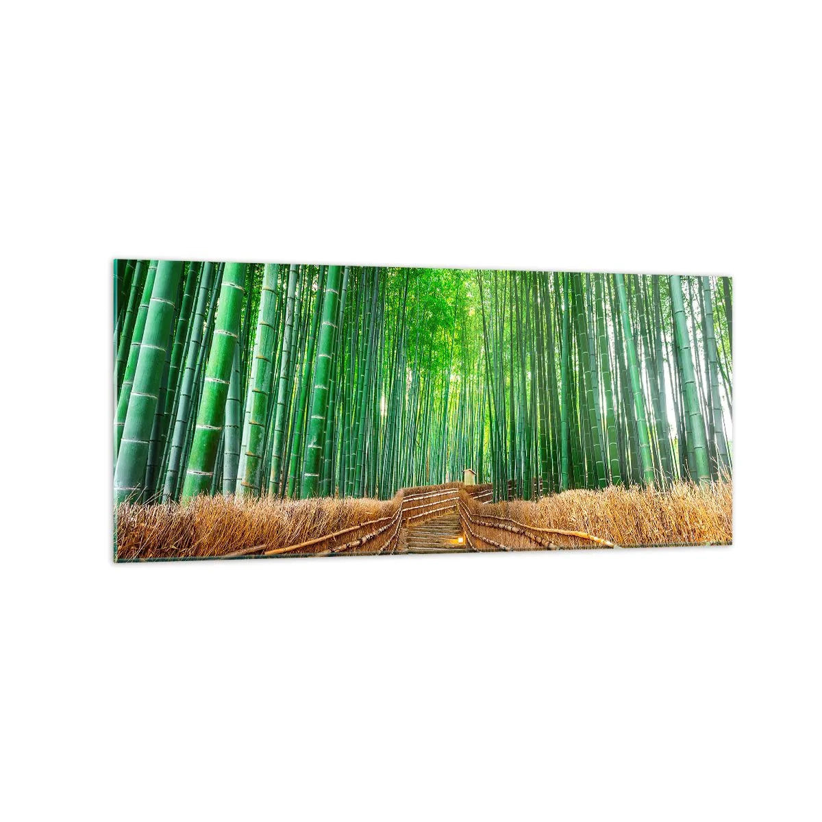 Tablou pe sticlă - Esența naturii asiatice - 120x50 cm
