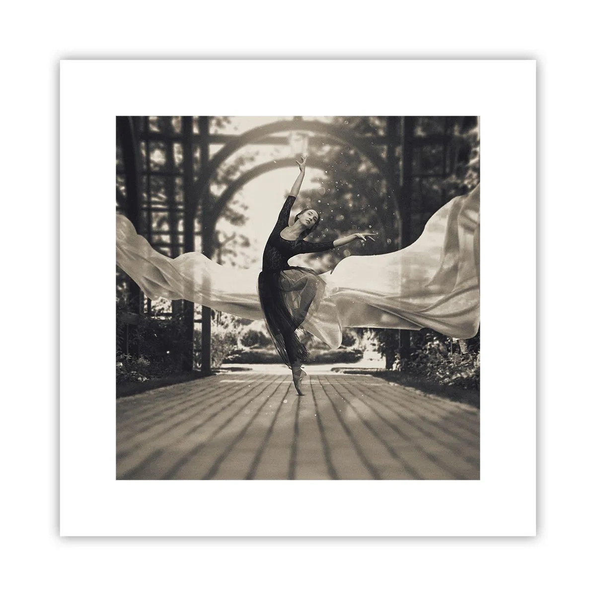 Poster - Dansul spiritului de grădină - 30x30 cm