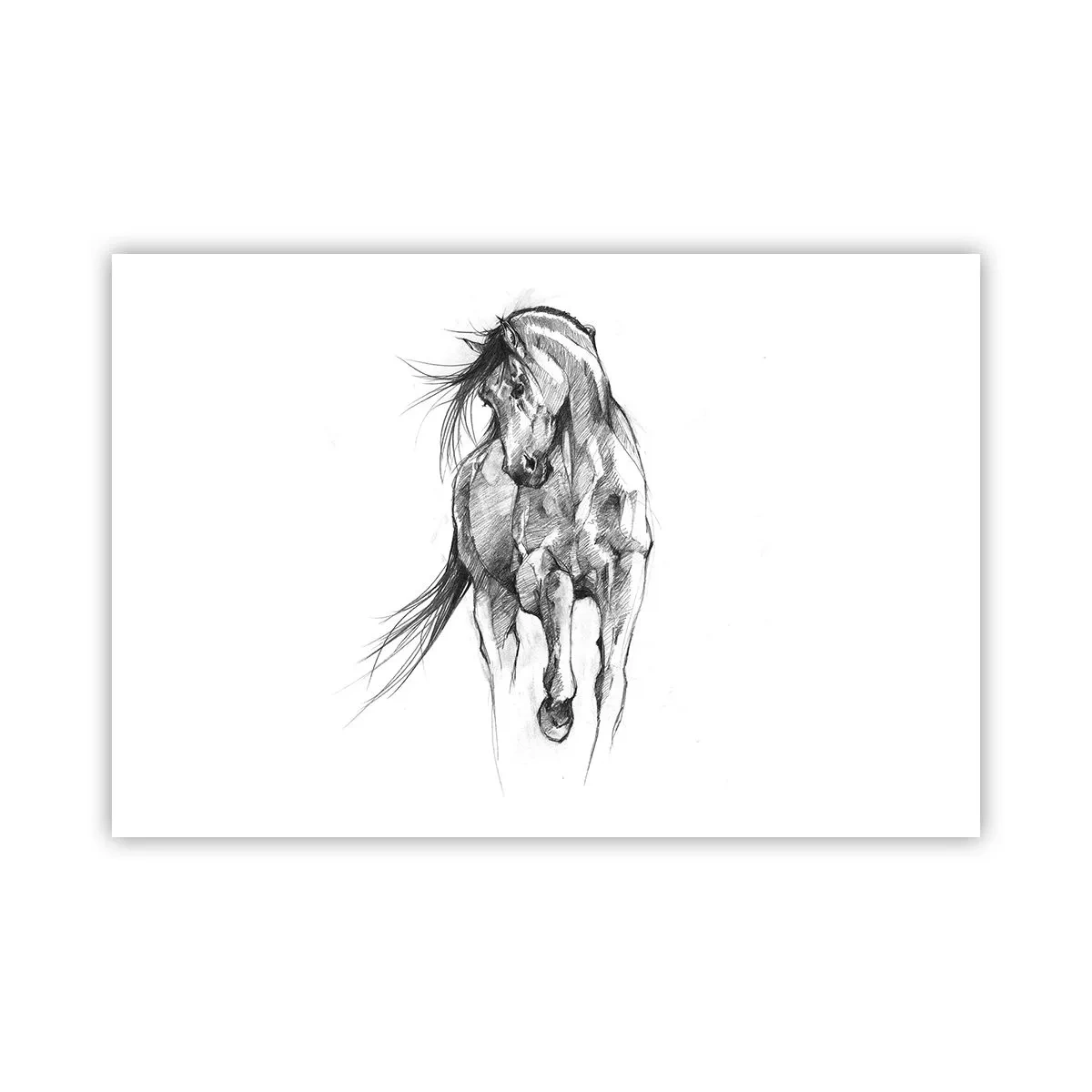 Poster - Într-un trap grațios - 91x61 cm