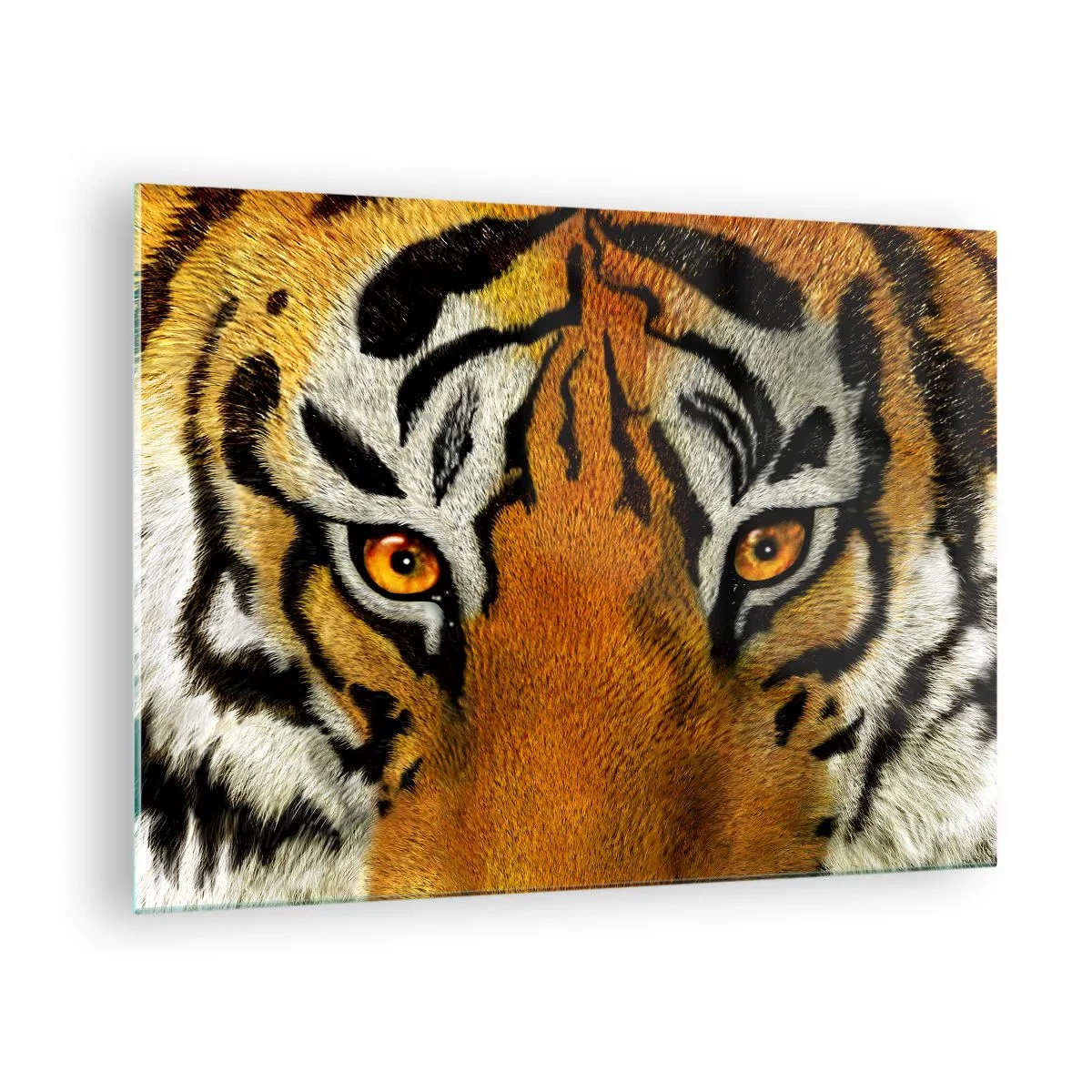 Tablou pe sticlă - Prim-plan al privirii intense a tigrului - 70x50cm - Amenințător și frumos - Decorațiune modernă pentru perete pentru living și dormitor ARTTOR