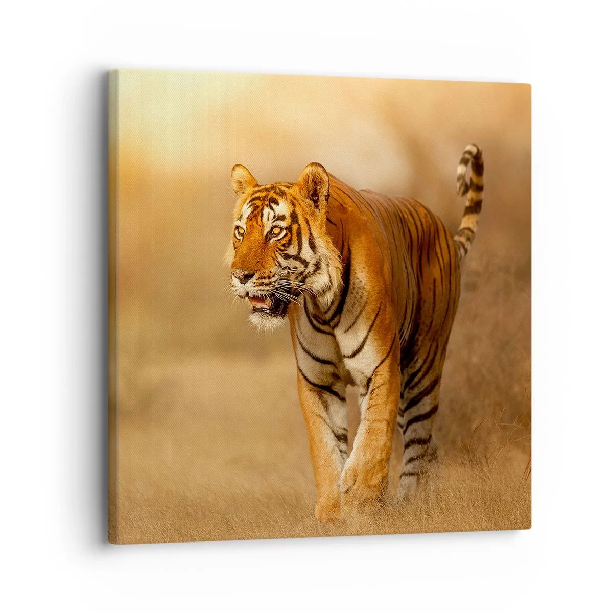 Tablou pe pânză - Înainte de atac - 30x30 cm