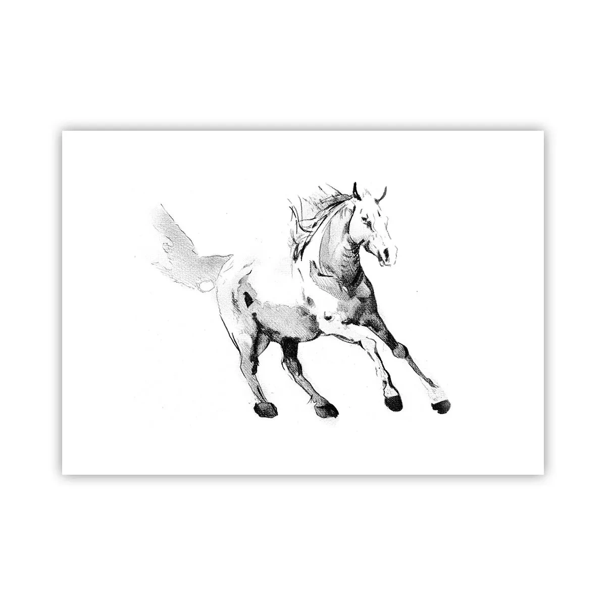Poster - Suflet neîmblânzit - 70x50 cm
