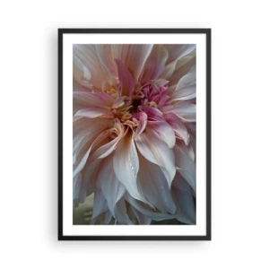 Poster în ramă neagră - Prim-plan al petalelor de flori delicate în culori pastelate - 50x70cm - Prospețime înfloritoare - Decorațiune modernă pentru perete pentru living și dormitor ARTTOR