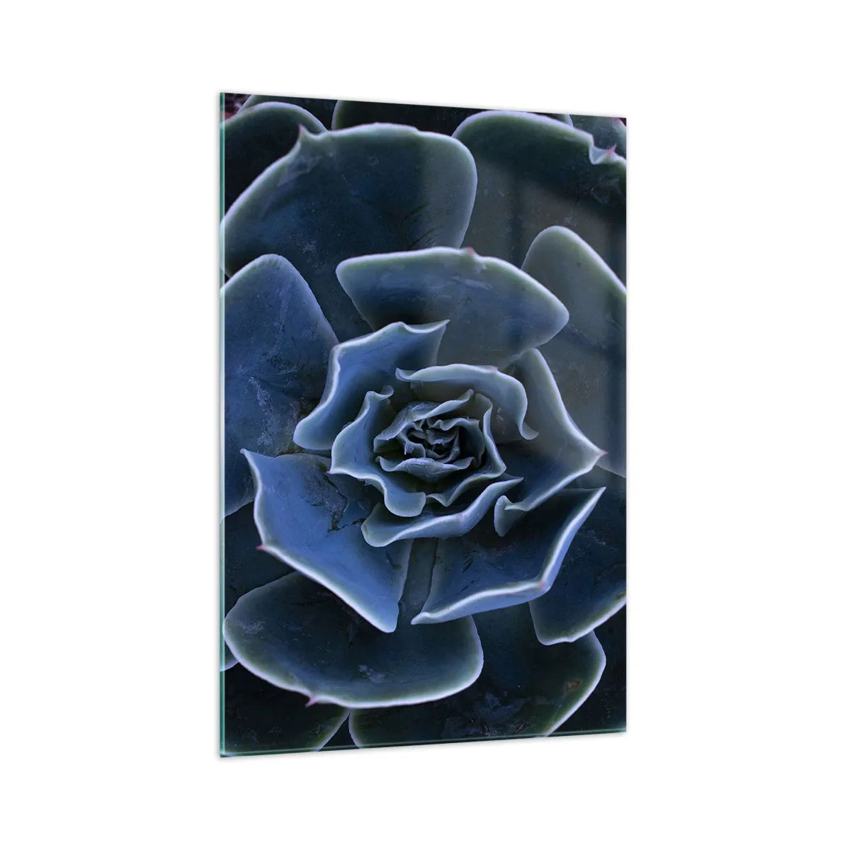 Tablou pe sticlă - Floare de deșert - 70x100 cm