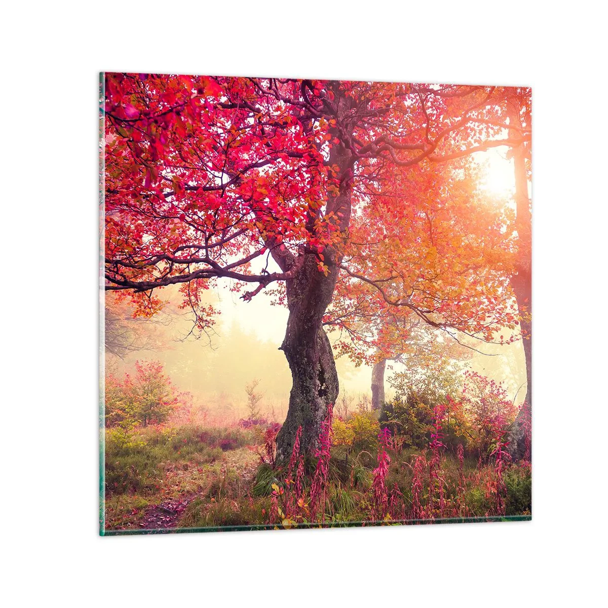 Tablou pe sticlă - O frenezie de înflorire - 50x50 cm