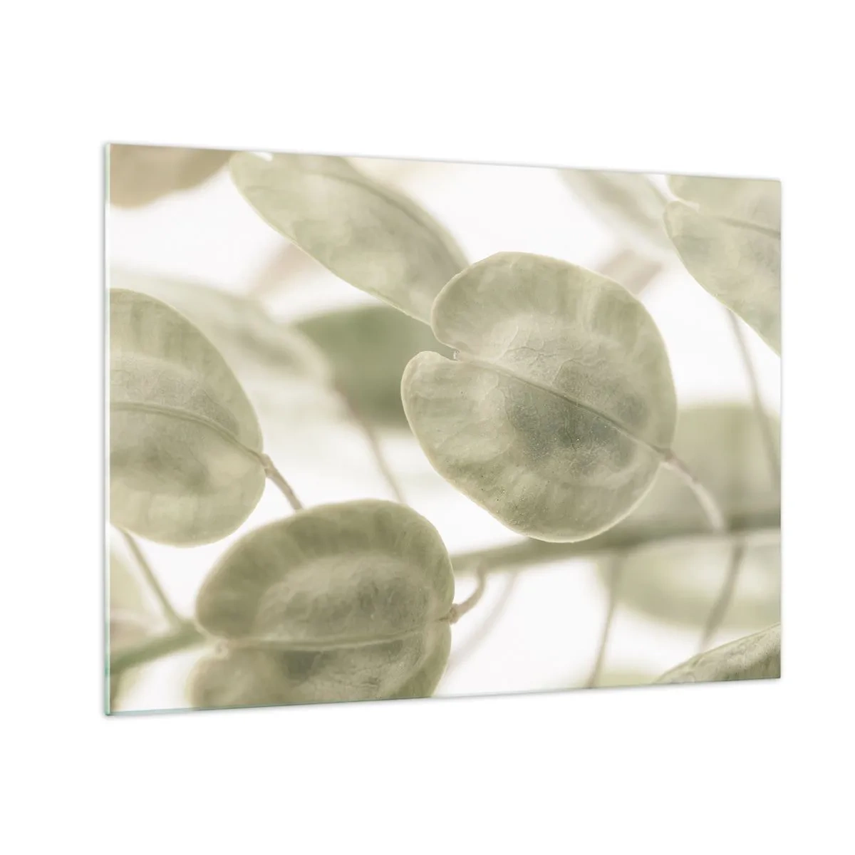 Tablou pe sticlă - Prim-plan cu frunze în nuanțe pastelate de verde - 70x50cm - La început au fost frunzele... - Decorațiune modernă pentru perete pentru living și dormitor ARTTOR