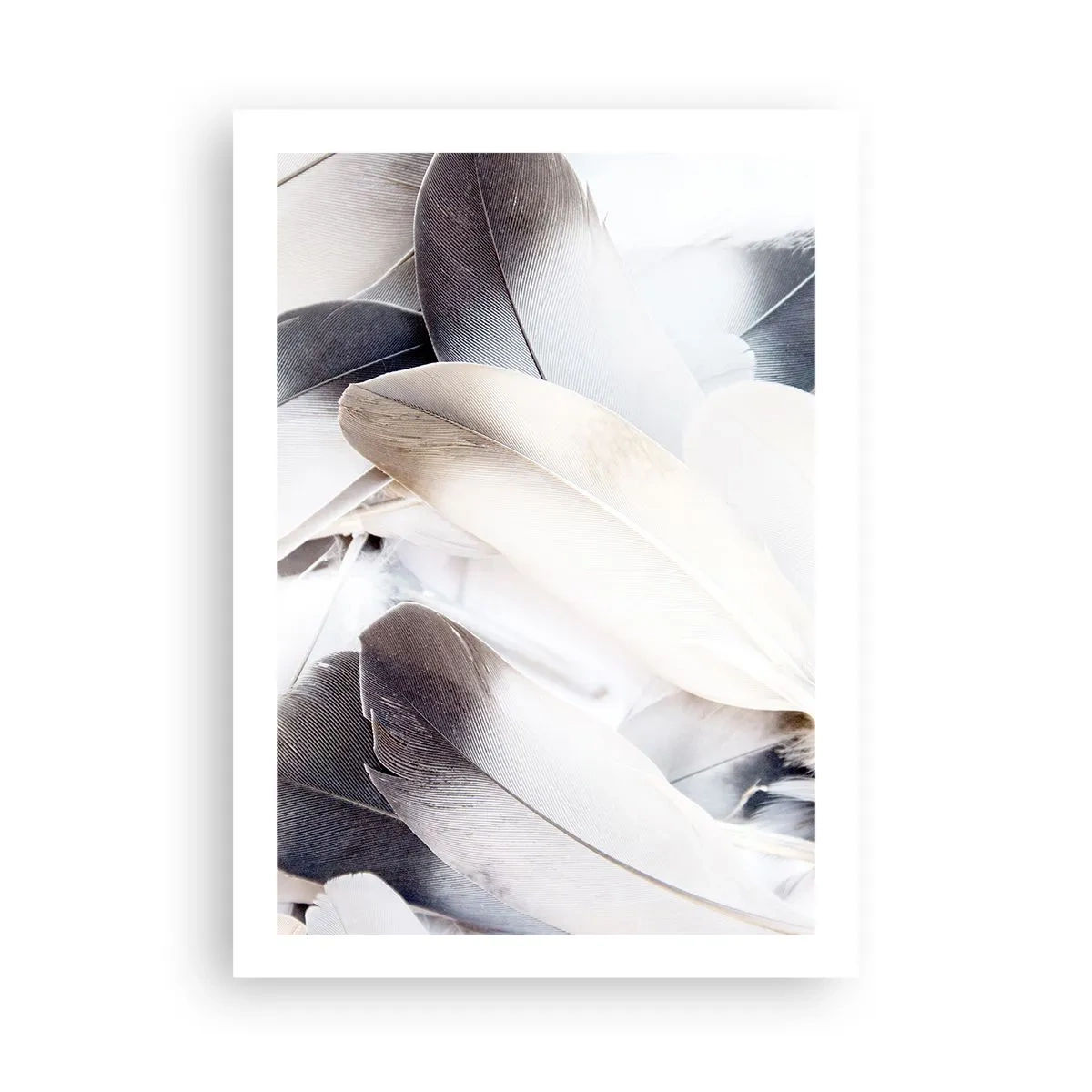 Poster - Aproape angelice - 50x70 cm