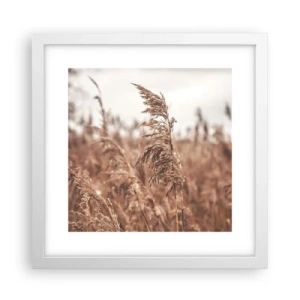 Poster în ramă albă - Toamna pe câmpuri - 30x30 cm