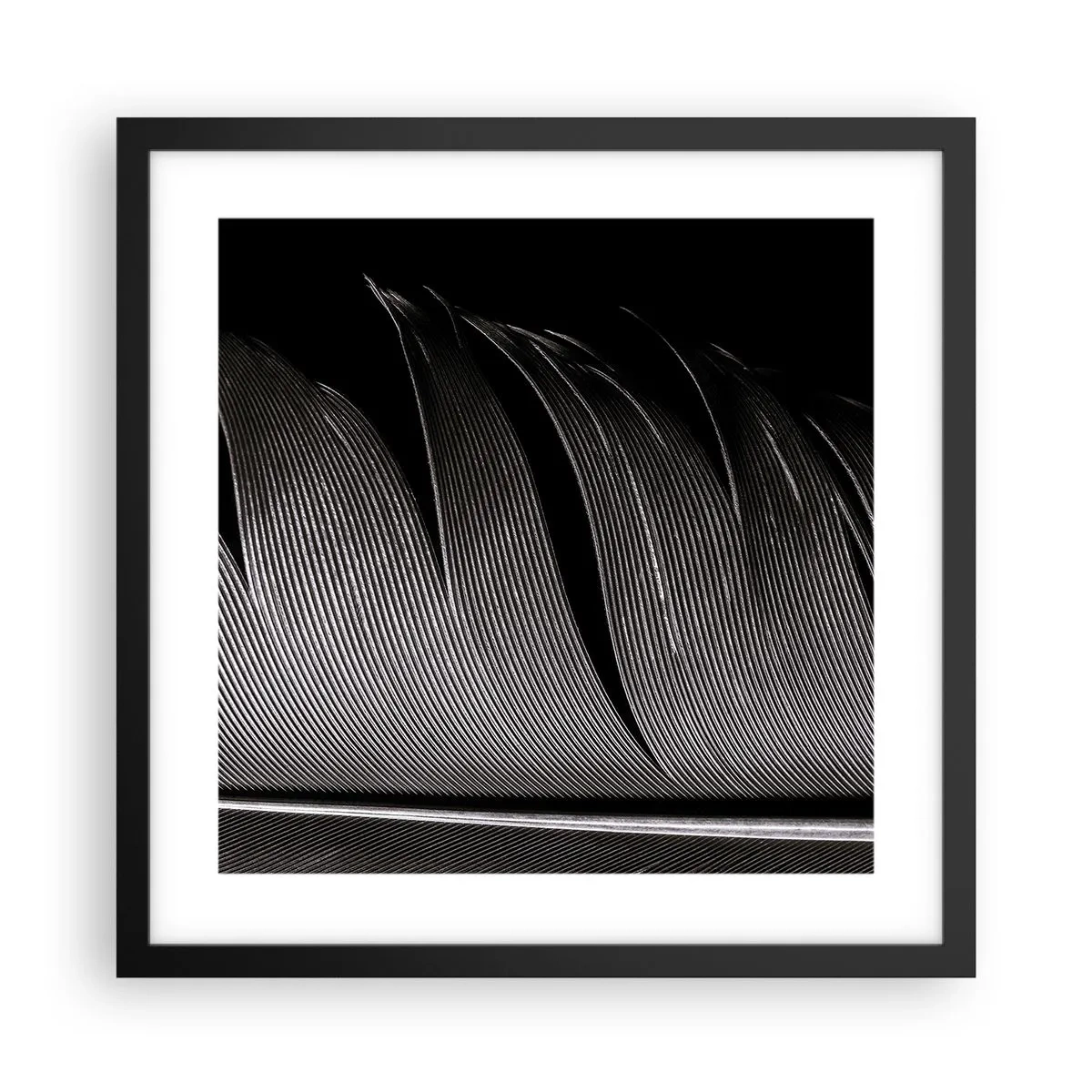Poster în ramă neagră - Pana - o construcție minunată - 40x40 cm