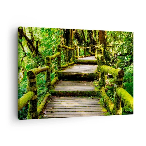 Tablou pe pânză Canvas - Un pod de lemn acoperit cu mușchi într-o pădure tropicală - 70x50cm - Coridorul verde - Decorațiune modernă pentru perete pentru living și dormitor ARTTOR