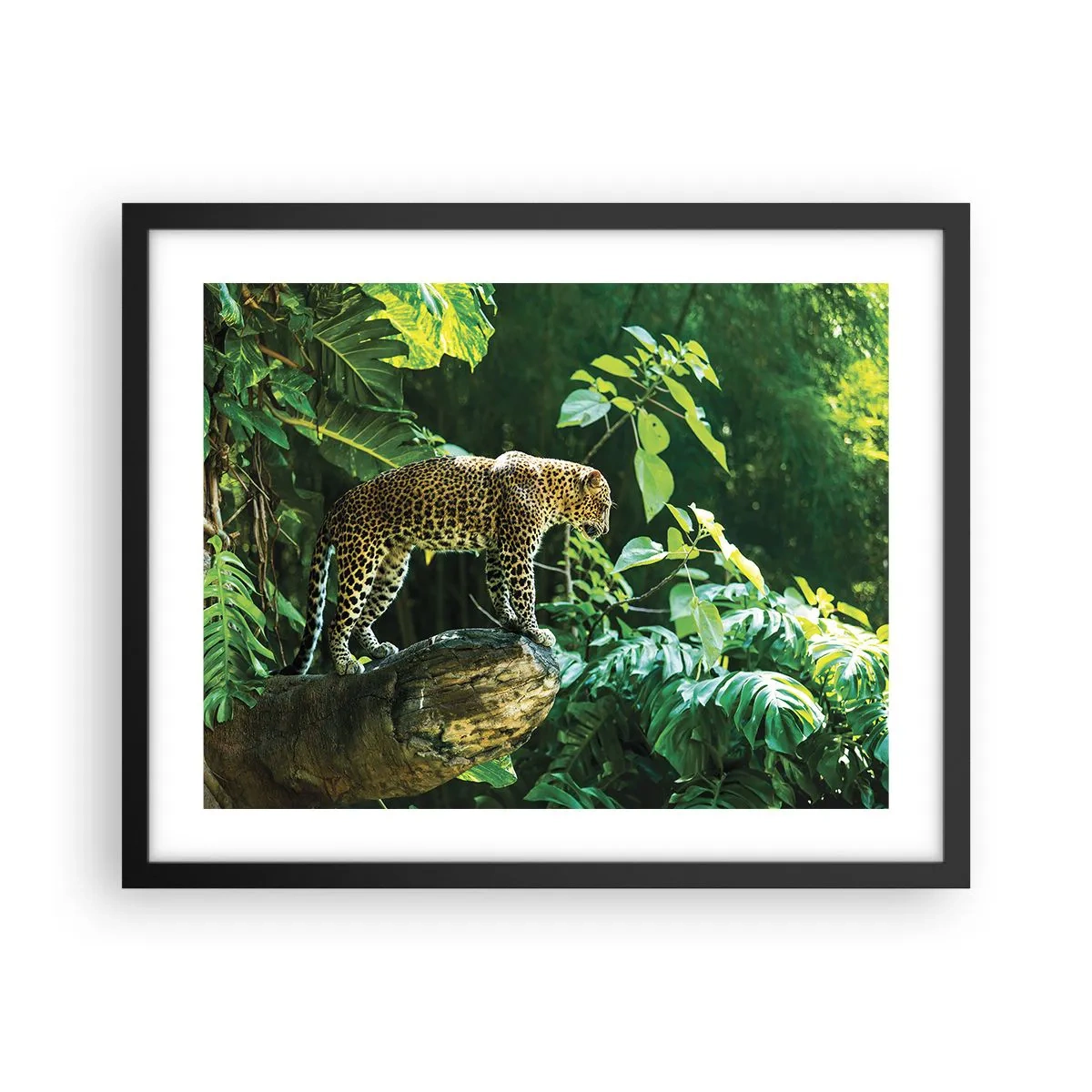 Poster în ramă neagră - La vânătoare? - 50x40 cm