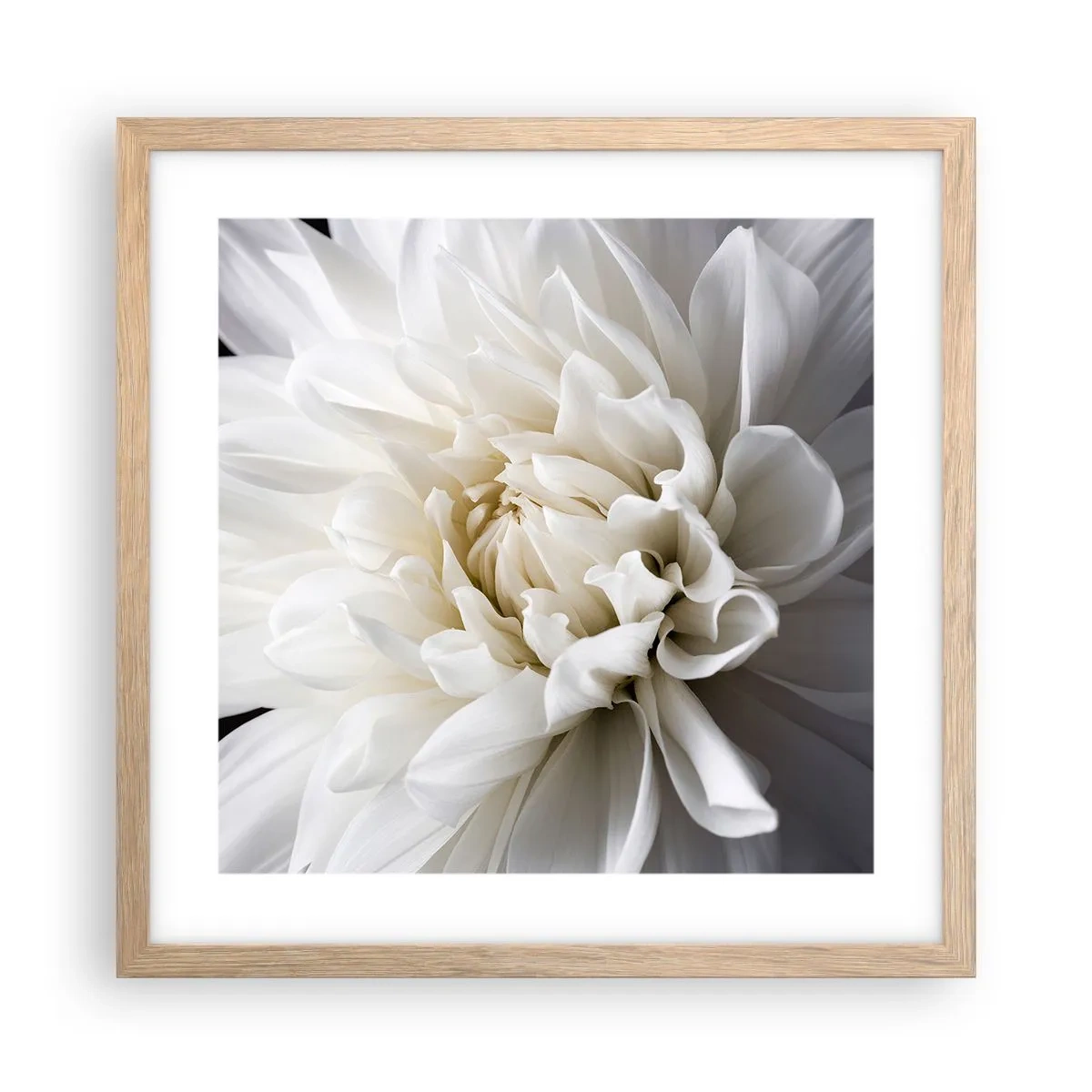 Poster în ramă de stejar deschis - Dimineața miresei - 40x40 cm