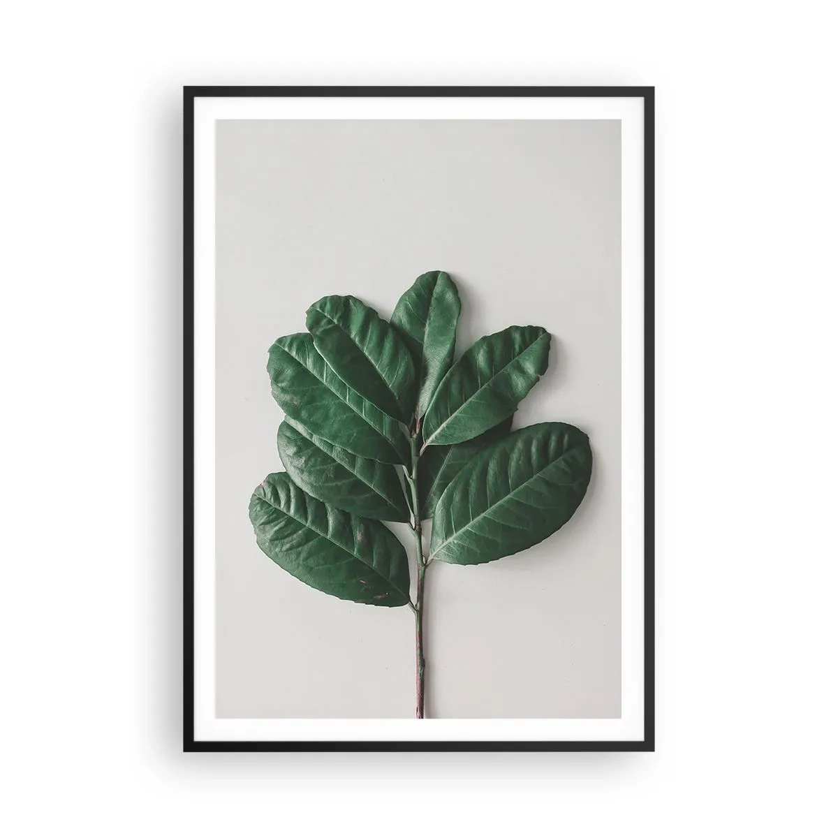 Poster în ramă neagră - Desenul naturii însăși - 70x100 cm