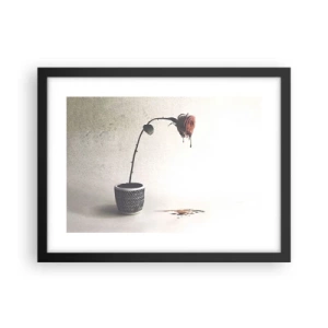 Poster în ramă neagră - Rosa dolorosa - 40x30 cm