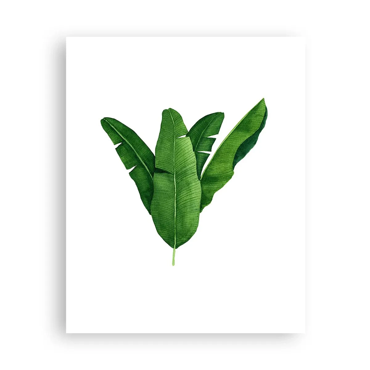 Poster - Simetrie verde - 40x50 cm