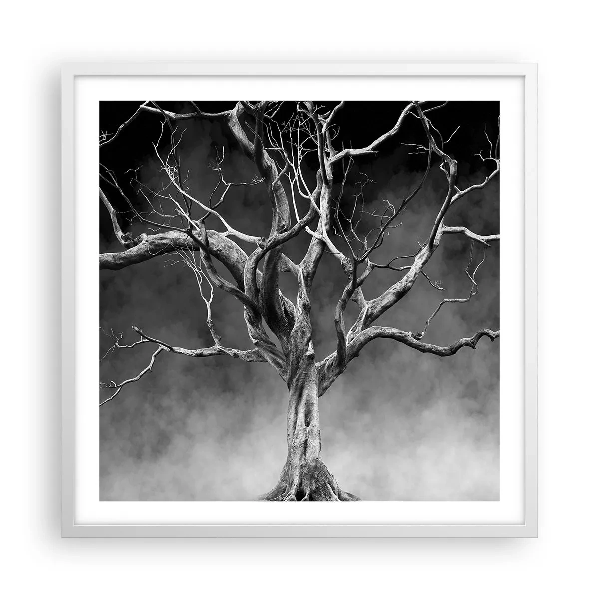 Poster în ramă albă - Primare și sacre - 60x60 cm