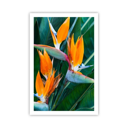Poster - Este o floare sau o pasăre? - 61x91 cm