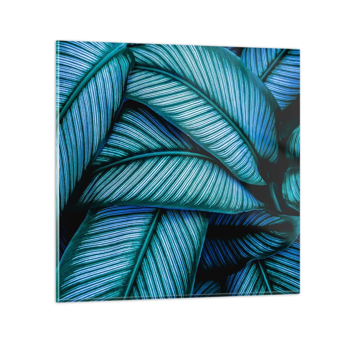 Tablou pe sticlă - Linii de viață - 30x30 cm