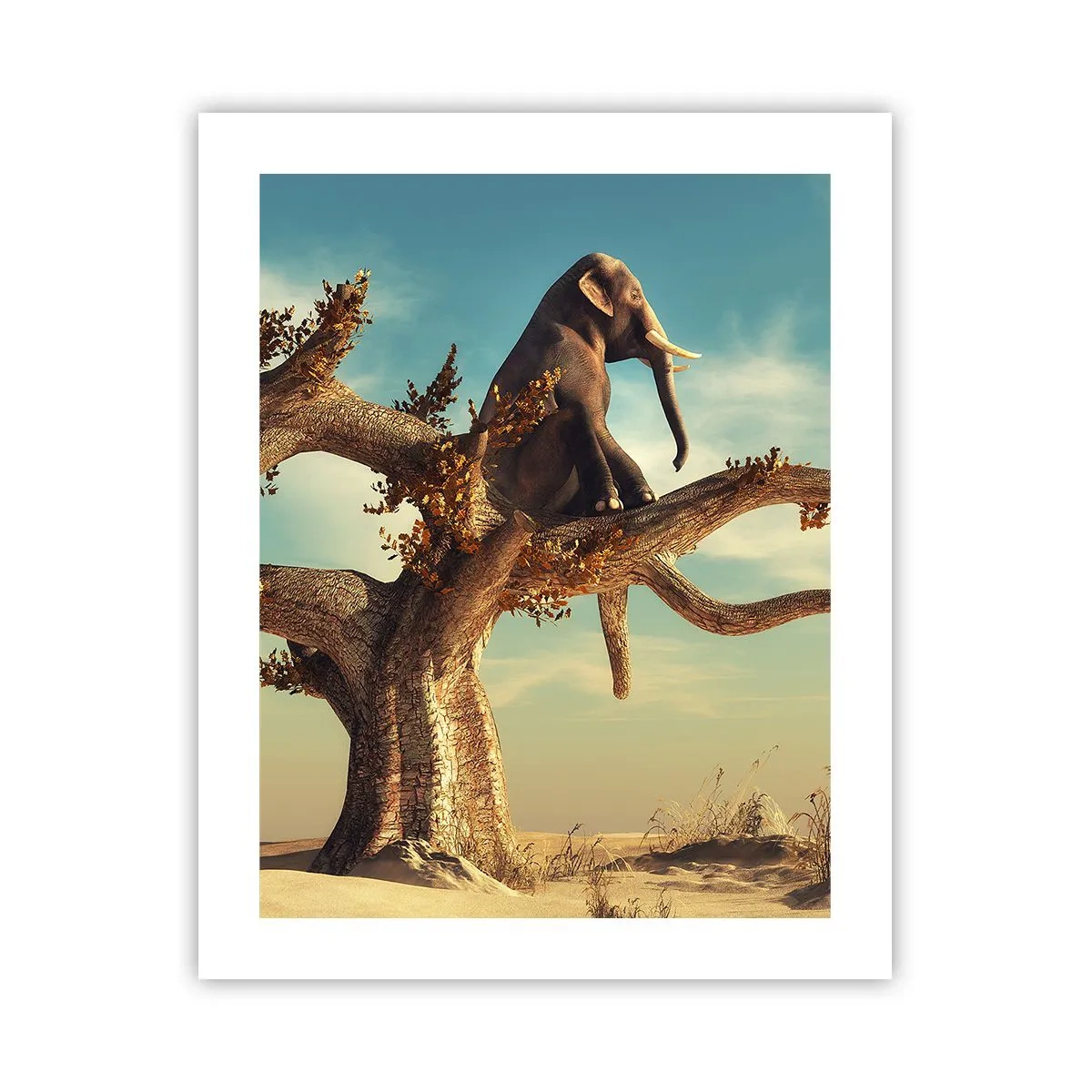 Poster - Un nou punct de vedere - 40x50 cm